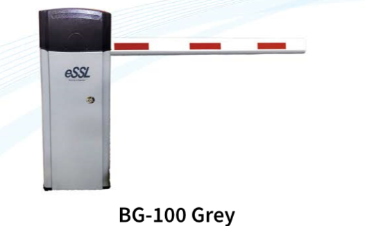 BG100 Grey